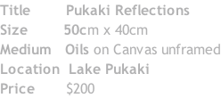 Title 					  Pukaki Reflections Size 							50cm x 40cm Medium 	 Oils on Canvas unframed Location 	Lake Pukaki Price 						$200