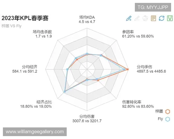 KPL娱乐赛AG赛季总结，战绩分析与未来冲刺的策略规划