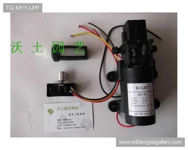 利来ag来就送38全新上线精彩纷呈的游戏内容让玩家尽情享受无限欢乐时光