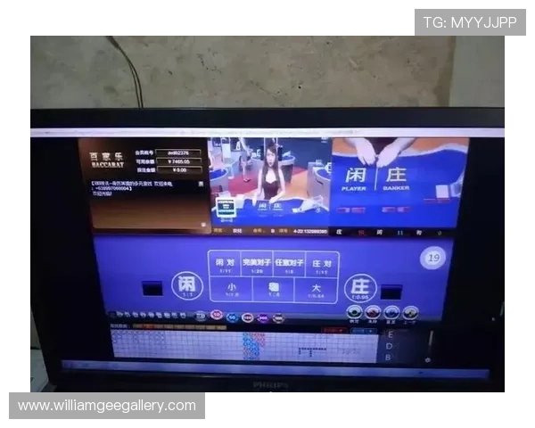 365bet百家乐官网玩法攻略，详细解析百家乐规则与实用技巧提升胜率