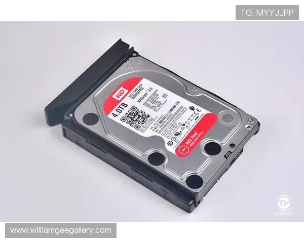 DS视讯平台支持多设备同步登录，随时随地畅享精彩游戏内容