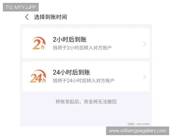 百家樂娛樂城平台多渠道支付方式确保玩家资金快速到账