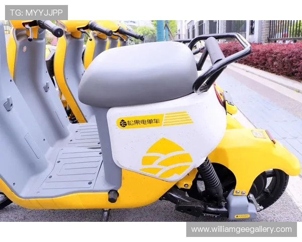 欧宝视讯平台安全保障措施详解确保玩家资金与信息安全