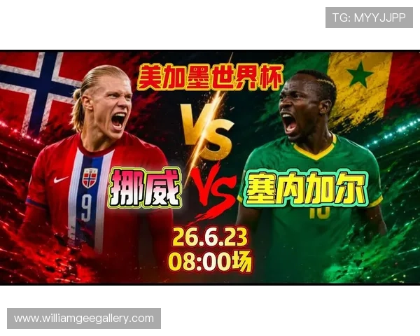 2026年世界杯挪威对阵塞内加尔比赛在酒吧观看的最佳推荐与现场氛围介绍